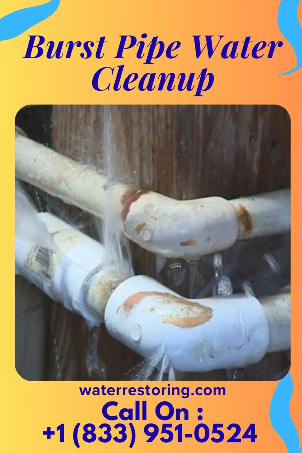 Burst Pipe Water Cleanup in Brockport, NY