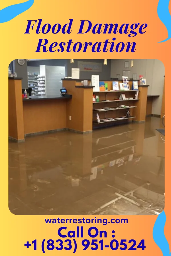 Flood Damage Restoration in Brockport, NY