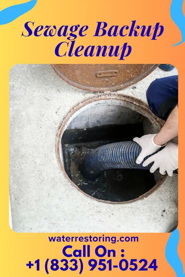 Sewage Backup Cleanup in Brockport, NY