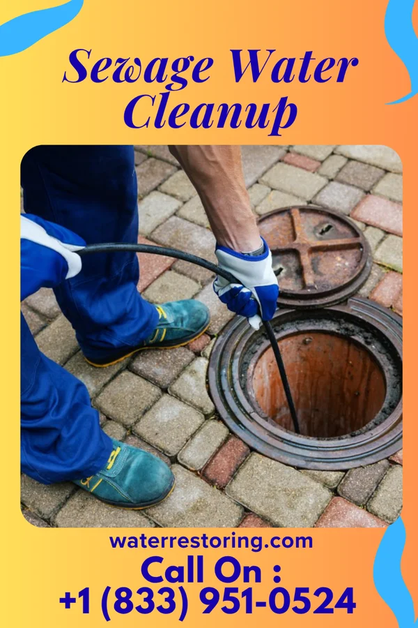 Sewage Water Cleanup in Brockport, NY