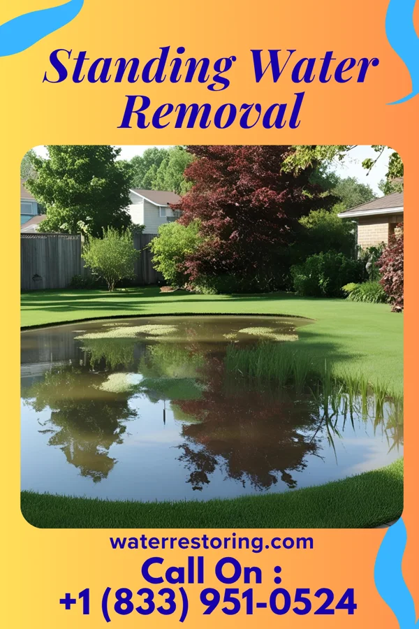 Standing Water Removal in Brockport, NY